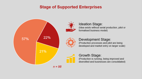 graphic showing that most of the supported enterprises are in the development stage