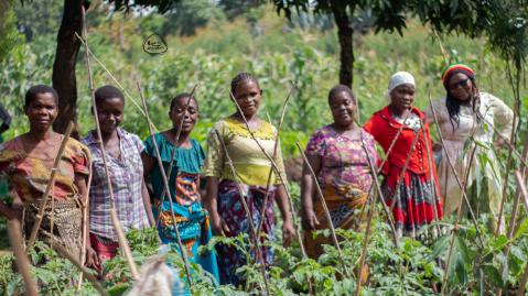 women from Tac Maz Malawi standing in lush green gardens