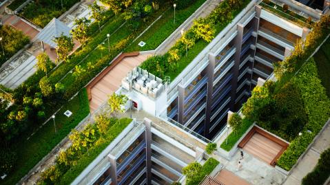 Green roof terraces
