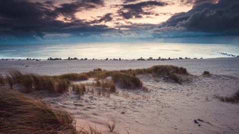 Dunes on the island of Sylt, looking out onto the ocean