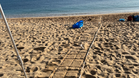 Trash being collected in a tool that combs the beach