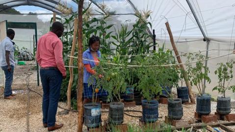 Zamtree Agroforestry Limited uses efficient planting to the preservation of Zambia's ecosystem.