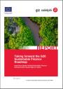 Cover - Workshop report - Taking forward the G20 Sustainable Finance Roadmap: Improving climate-related Sustainable Finance decisions with relevant data on nature