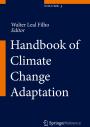 Development and Application of Good Practice Criteria for Evaluating Adaptation Measures