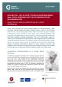 Geopolitics of Decarbonisation - Climate Diplomacy Brief: Coverbild