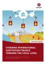 Steering International Adaptation Finance Towards the Local Level - adelphi