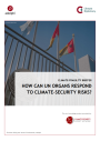 Teaser Image: How can UN Organs respond to climate-security risks?