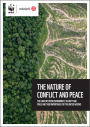 cover of publication The nature of conflict and peace