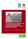 Fallstudie zu Umwelt- und Sozialauswirkungen der Gewinnung Seltener Erden in Bayan Obo, China
