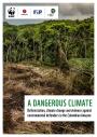 A DANGEROUS CLIMATE: Deforestation, climate change and violence against environmental defenders in the Colombian Amazon