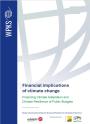 Study WPKS Financial Implications Climate Change