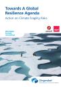 Towards A Global Resilience Agenda - adelphi
