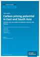 Cover der Publikation Carbon pricing potential in East and South Asia: Synthesis and case studies for Indonesia, Vietnam, and Pakistan