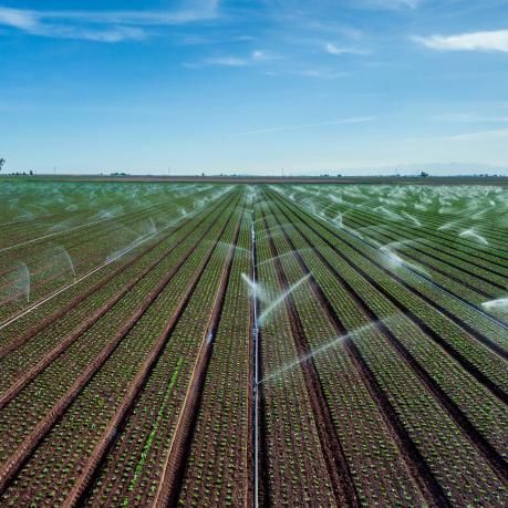 Ein weites Feld mit Bewässerungsanlage