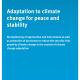 Titelbild Studie Adaptation to climate change for peace and stability