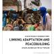 Cover: Linking Adaptation and Peacebuilding