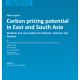 Cover der Publikation Carbon pricing potential in East and South Asia: Synthesis and case studies for Indonesia, Vietnam, and Pakistan