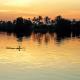 The Nile at Dawn with palm trees showing as shadows and a bird sitting on floating grass in the river