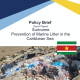 Policy brief cover page. Plastic waste is sitting on a beach.