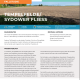 Cover Steckbrief Puchheim