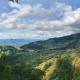 Dschungel und Szenerie in Papua New Guinea