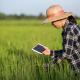 Smart Farmer / Asian girl holding a tablet is checking the growing rice production in her farm