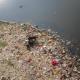 Polluted river banks, India