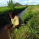 Sustainable Entrepreneurship