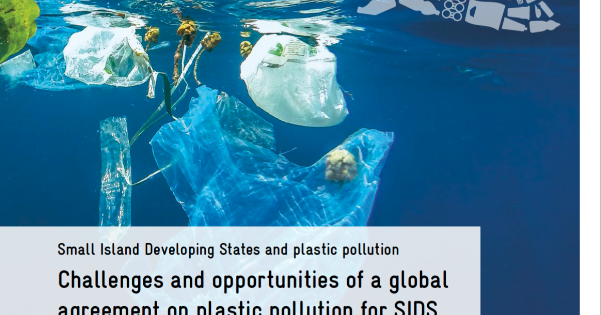 Small Island Developing States and plastic pollution | adelphi