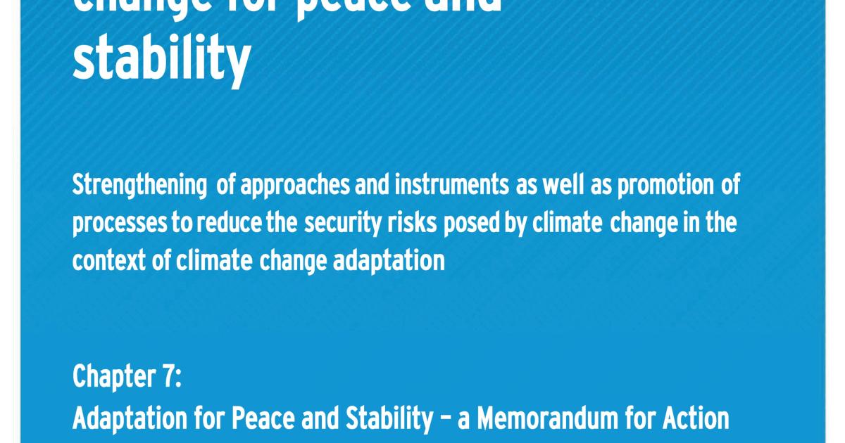 Adaptation for Peace and Stability - a Memorandum for Action | adelphi