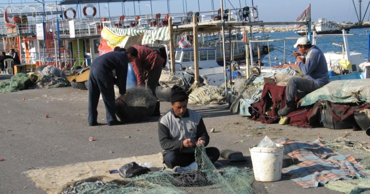 The environmental impact of free trade agreements Morocco as a case